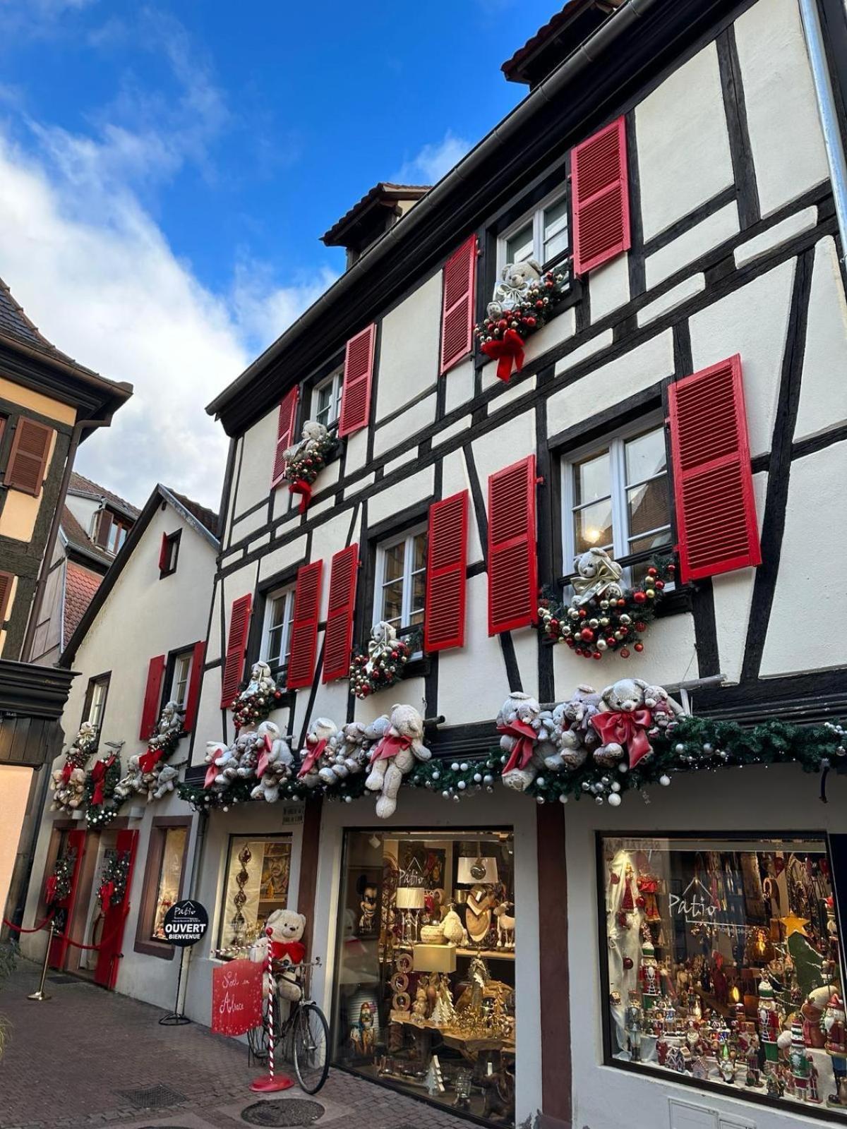 Bienvenue Au Coeur D Alsace-centre -3 Etoiles - * Obernai